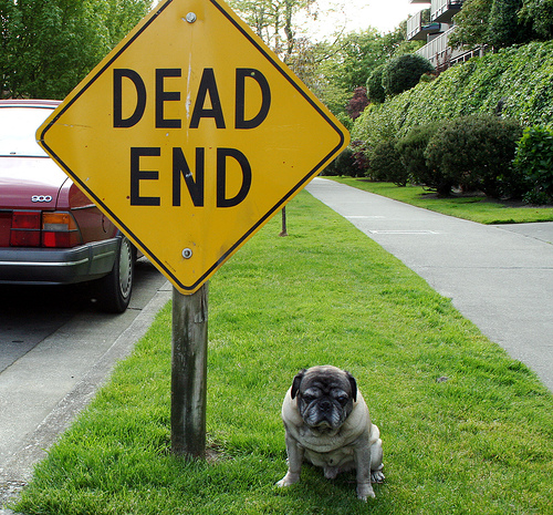 dead-end-sign.jpg