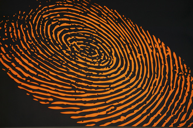 fingerprint-1.jpg