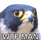 4579850-1383326262.png