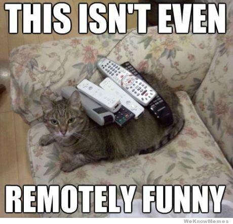 remotely-funny-cat.jpg