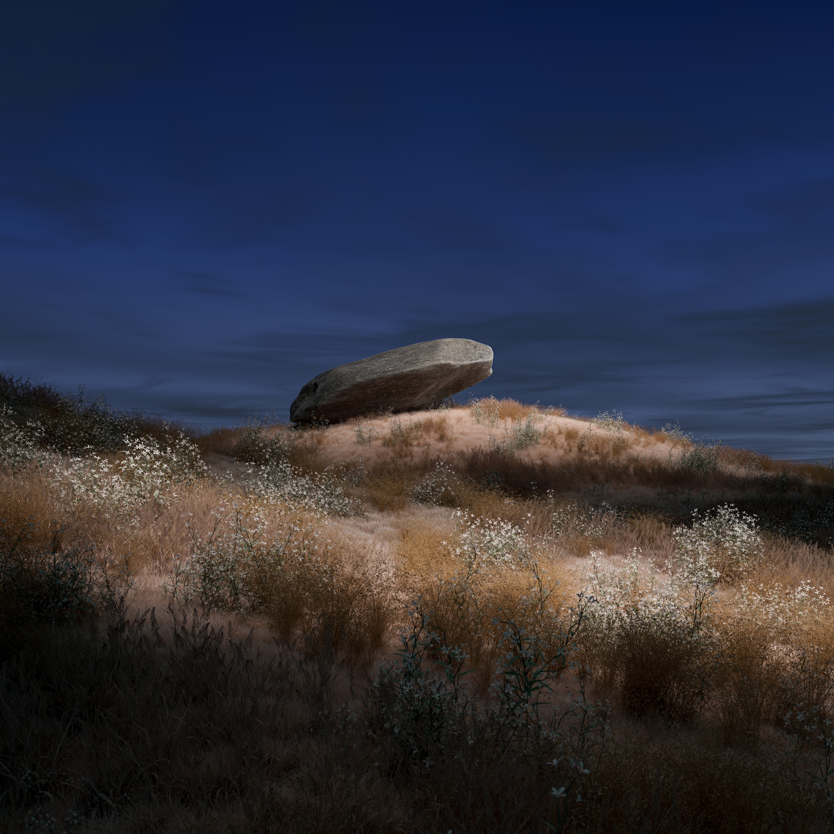 The Lonely Rock.jpg