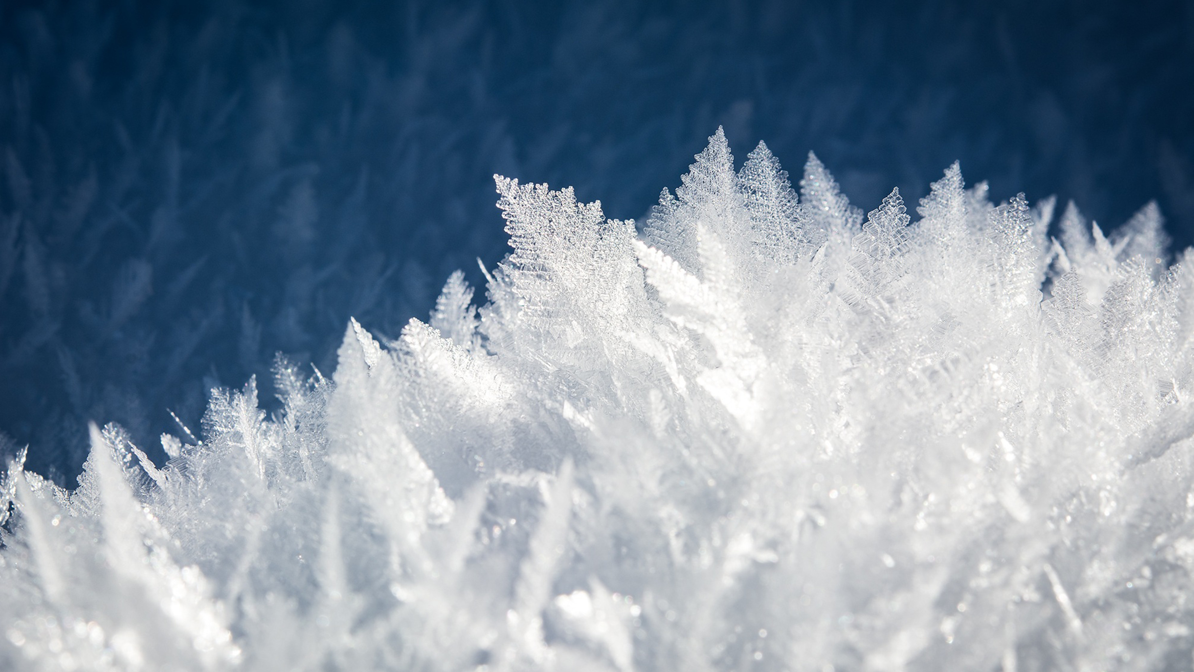 1273807-popular-ice-wallpaper-hd-3840x2160.jpg