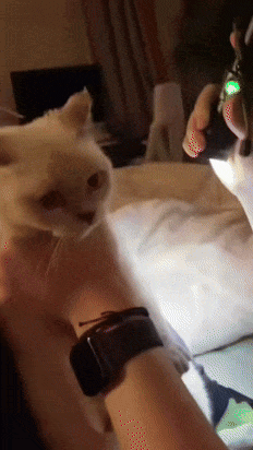 check_dis.gif
