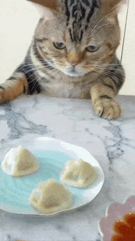 bun_bun.gif