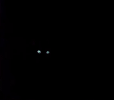 lkitty.gif