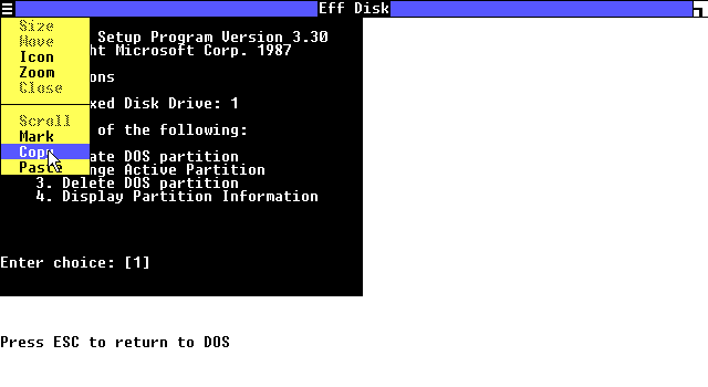 windows_1_fdisk_copy.png