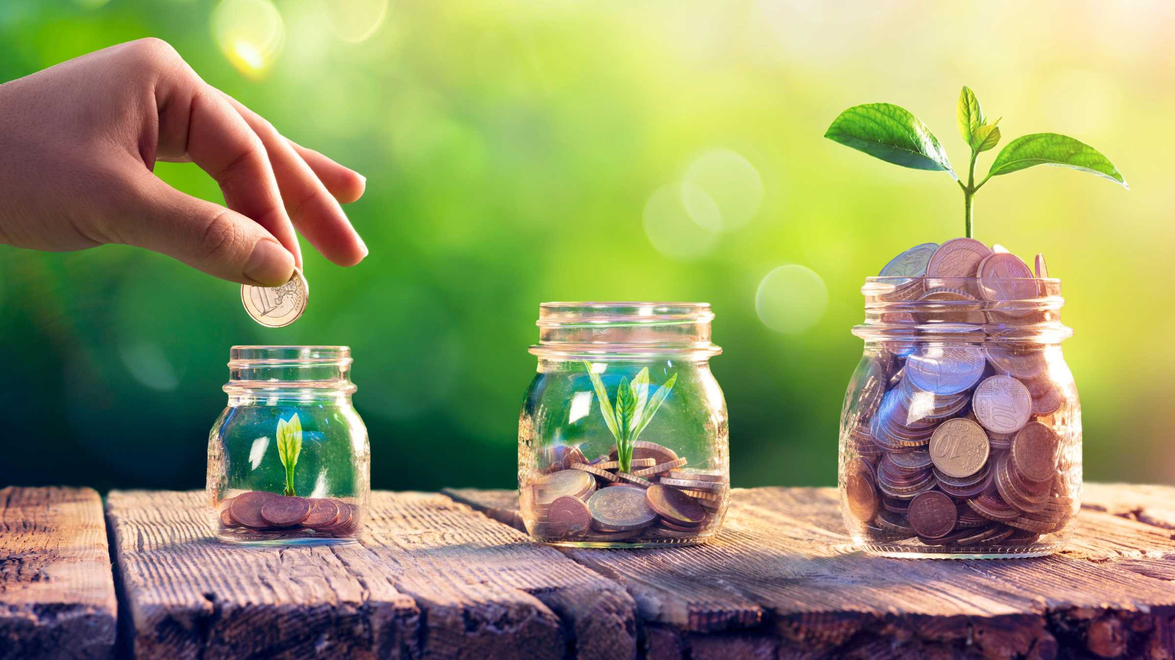 invest-money-SunFlower-studio.jpg