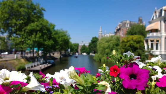 bokeh-flowers-front.jpg