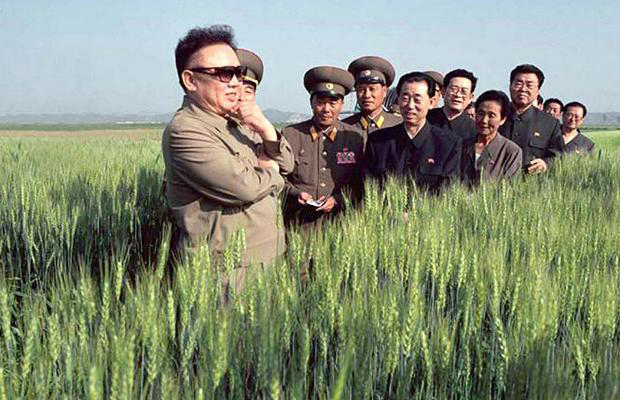 sycophants north korea.png