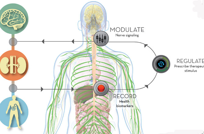 self-healing-670.jpg