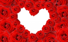 red_roses__love_heart-t1.jpg