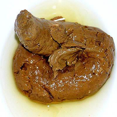 20090902034156!Round-turd-big.jpg