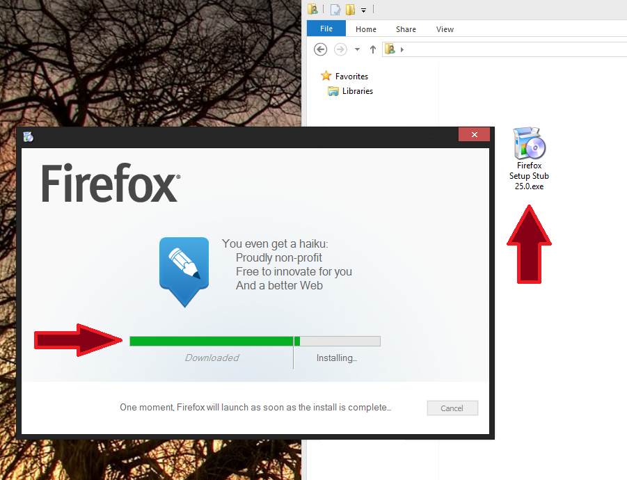 firefoxinstallstupid.png
