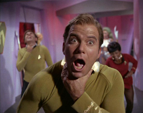 Collars_activated3.jpg