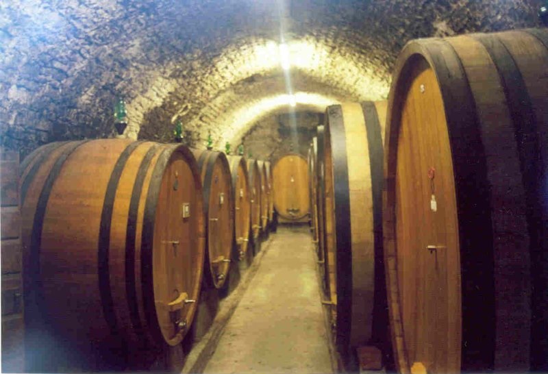 chianti-wine_cellar.jpg