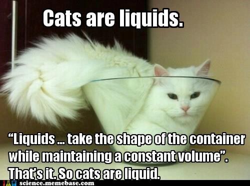 cat-liquid.jpg