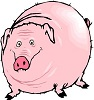 pig.png