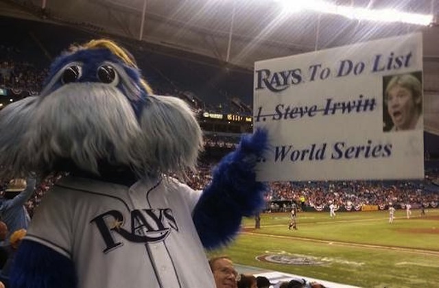 Raymond-Rays-Steve-Irwin.jpeg