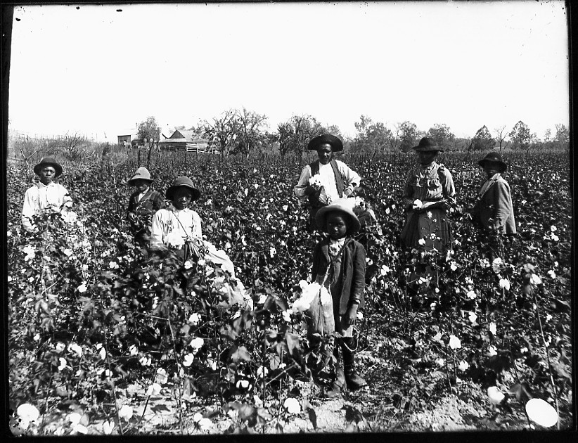 slaves-in-field.jpg