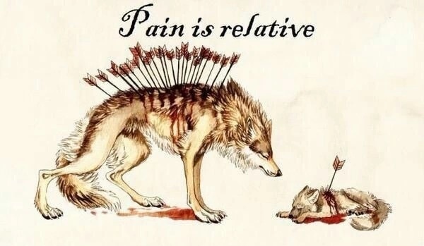 1448388371_Pain is relative.jpg