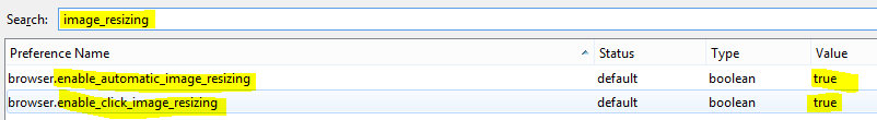 image resizing firefox.PNG