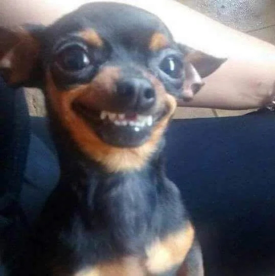 so_happy.jpg